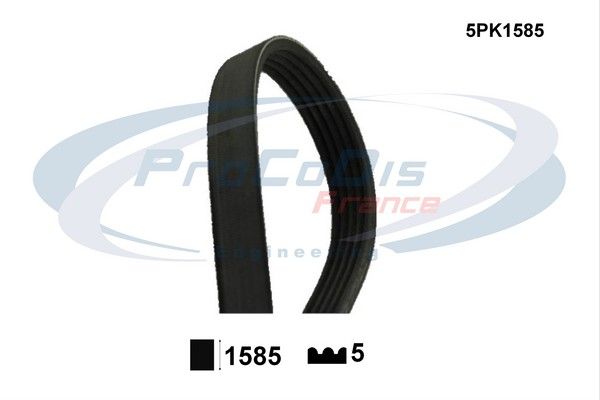 PROCODIS FRANCE Soonrihm 5PK1585